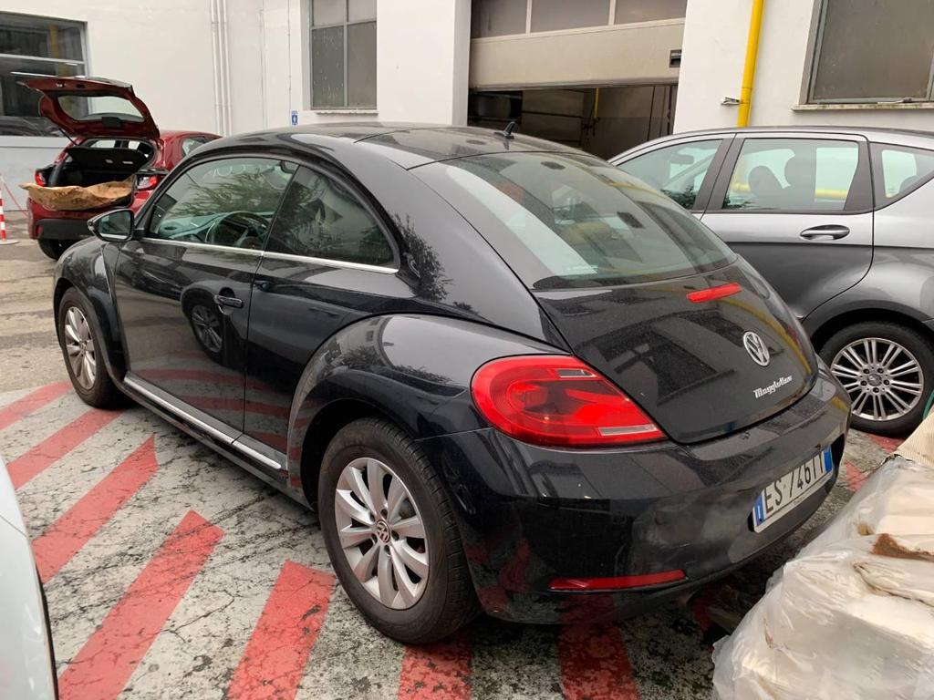 Concessionaria AD Motors - Volkswagen Maggiolino | ID 11057789